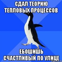 сдал теорию тепловых процессов ебошишь счастливый по улице