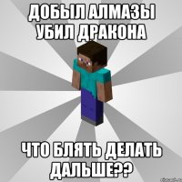 добыл алмазы убил дракона что блять делать дальше??