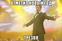 отметил новый год трезво