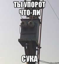 ты упорот что-ли сука