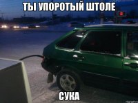 ты упоротый штоле сука