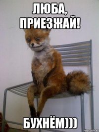 люба, приезжай! бухнём)))