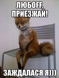 любоff, приезжай! заждалася я)))