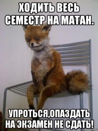 ходить весь семестр на матан. упроться,опаздать на экзамен не сдать!