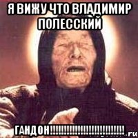 я вижу что владимир полесский гандон!!!