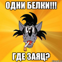 одни белки!!! где заяц?