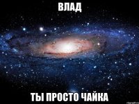 влад ты просто чайка