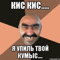 кис кис..... я упиль твой кумыс....