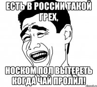 есть в россии такой грех, носком пол вытереть когда чай пролил!