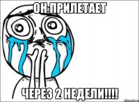 он прилетает через 2 недели!!!