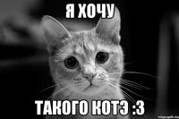 я хочу такого котэ :3