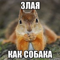 злая как собака