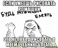 если умеешь рисовать ромашки это не повод рисовать в моём учебнике блеать