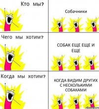 Собачники собак еще еще и еще когда видим других с несколькими собаками