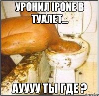 уронил ipone в туалет... ауууу ты где ?