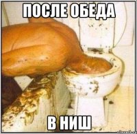 после обеда в ниш