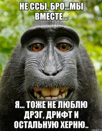 не ссы, бро...мы вместе... я... тоже не люблю дрэг, дрифт и остальную херню..