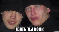  ебать ты волк