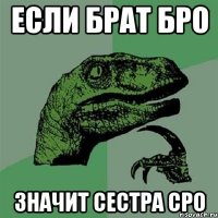 если брат бро значит сестра сро