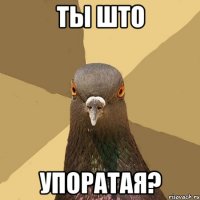 ты што упоратая?