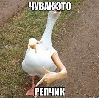 чувак это репчик