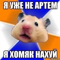 я уже не артем я хомяк нахуй