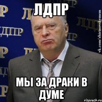 лдпр мы за драки в думе