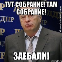 тут собрание! там собрание! заебали!