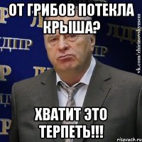 от грибов потекла крыша? хватит это терпеть!!!