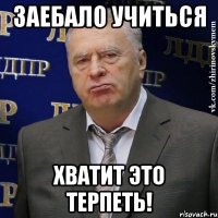 заебало учиться хватит это терпеть!