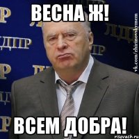 весна ж! всем добра!