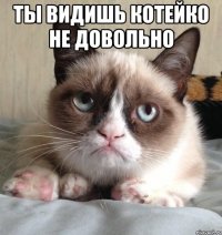 ты видишь котейко не довольно 