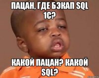 пацан, где бэкап sql 1c? какой пацан? какой sql?