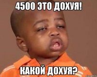 4500 это дохуя! какой дохуя?