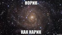 норик как нарик