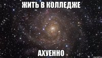 жить в колледже ахуенно