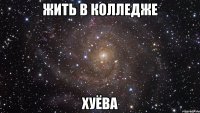 жить в колледже хуёва