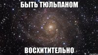 быть тюльпаном восхитительно