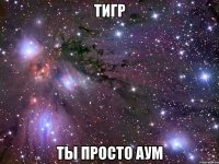 тигр ты просто аум