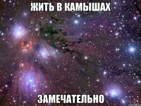 жить в камышах замечательно