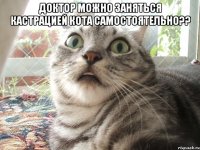 доктор можно заняться кастрацией кота самостоятельно?? 