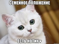 семейное положение есть котик♥