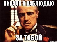 пихаля я наблюдаю за тобой