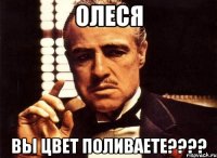 олеся вы цвет поливаете???