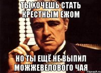 ты хочешь стать крестным ежом но ты ещё не выпил можжевелового чая