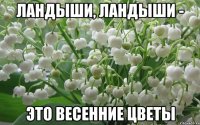 ландыши, ландыши - это весенние цветы