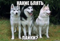 какие блять лайки?