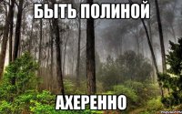 быть полиной ахеренно