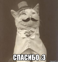  cпасибо :3