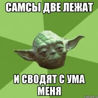 самсы две лежат и сводят с ума меня